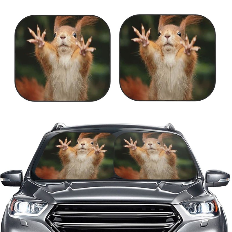 KiuLoam Squirrel Funny Animal Meets Car Windshield Sun Shade, 2-Piece