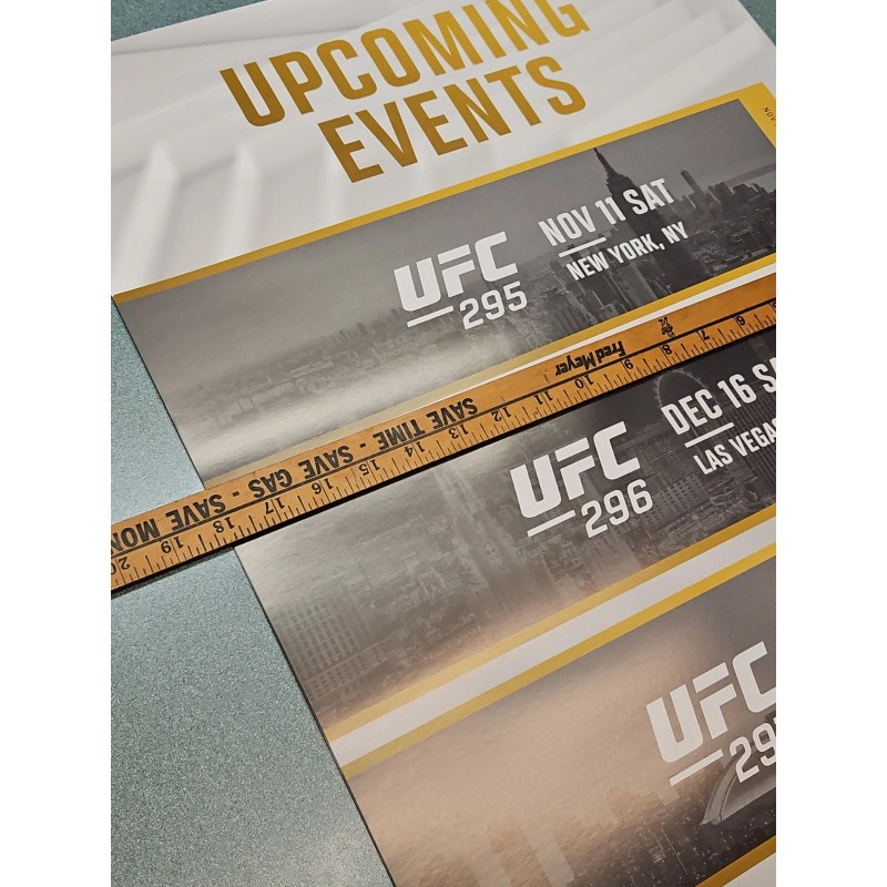 UFC Upcoming Events Promo Poster 295 296 297