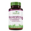 Vidanat Resveratrol - 30 Cápsulas – Antioxidante Natural de Origen