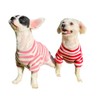 Generic Kesoniti 2 Pack Cat Dog T-Shirts Cat Dog Clothes