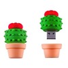 Cactus Pot 16GB Beautiful USB Flash Pen Drive Memory Thumb