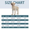 HAPPYHAO Adjustable Dog Elbow Brace with Shoulder Support,Dog Front Leg