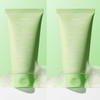 Aviv Abib Houttuynia Cordata Cleanser / 아비브 어성초 클렌저