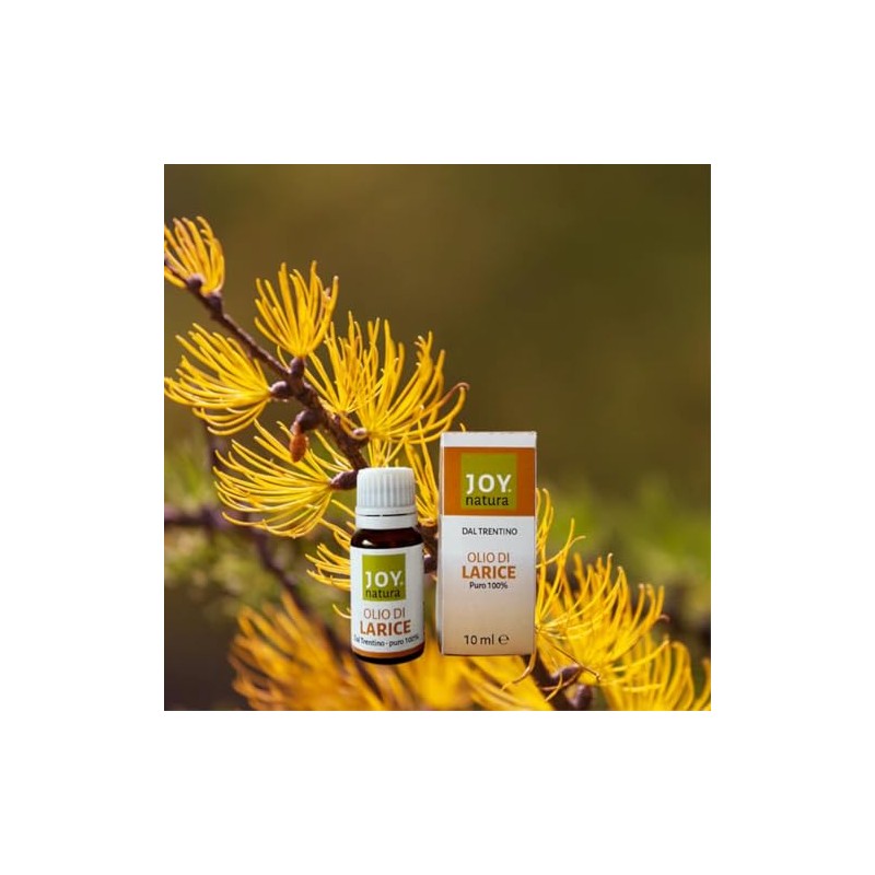 Joy Natura ALCHIA 100% Pure Larch Oil 20 ml Ideal