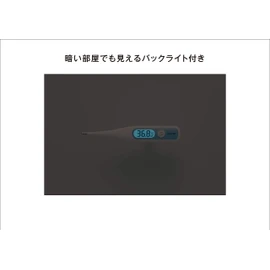 シチズン 電子体温計CTEB502-E