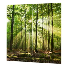 Landscape Curtains, Window Spring Forest Wildlife Nature Scenery Blackout Curtains for Balcony Bedroom Drawing Room (150 * 166cm)