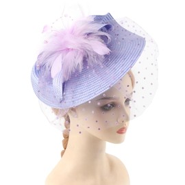 DRESHOW Fascinators Hat Mesh Veil Feathers Hat with a Headband and a Clip Tea Party Headwear for Women