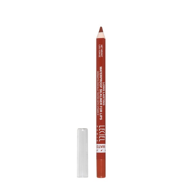 Leciel Paris Waterproof Lipstick Long Lasting Formula with Soft, Creamy and Smooth Texture (Beige Brown 540)