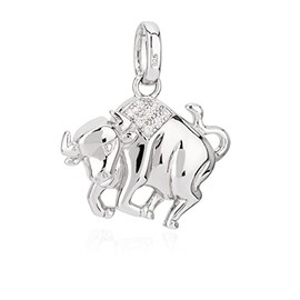 NKlaus Zodiac Zodiac Pendant 925 Silver with White Cubic Zirconia Horoscope, Silver, Cubic Zirconia