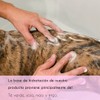 Petuxe Shampoo for Pets, Colour Enhancement, Vegan, Dog and Cat,