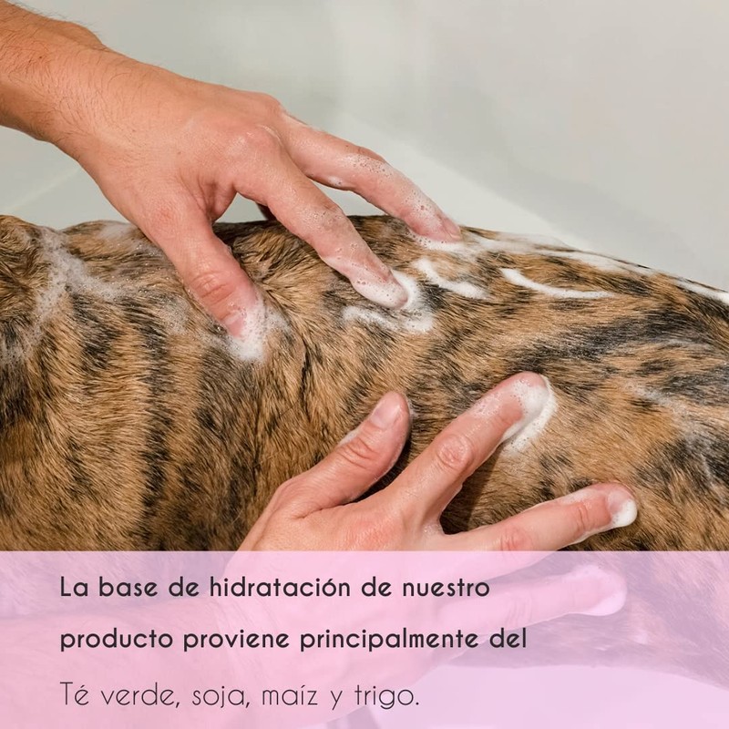 Petuxe Shampoo for Pets, Colour Enhancement, Vegan, Dog and Cat,