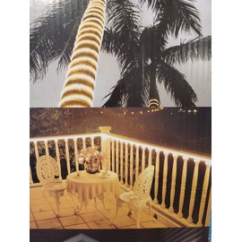 Everstar Merchandise USA Co. 18 ft LED Rope Light Indoor Outdoor Holiday Porch Patio Pathway Palm Trees Party