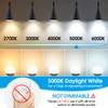 MAXvolador E12 LED 60W Equivalent Daylight White 5000K Ceiling Fan