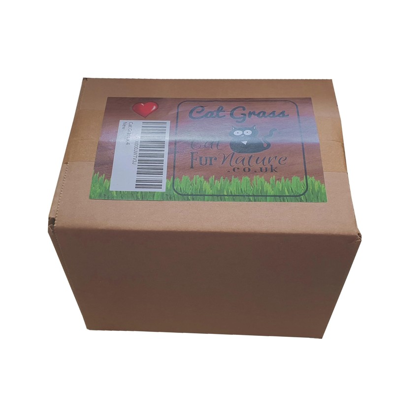 Pet Grass Variety Pack by Cat FurNature