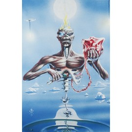 Iron Maiden Seventh Son of a Seventh Son Unisex Flagge Multicolor 100% Polyester Band-Merch, Bands