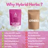 HYBRID HERBS Plant-Based Collagen Powder – Vegan Collagen Supplement for