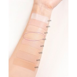 VDL Cover Stain Perfecting Foundation 30mL (SPF35, PA++) - V01 (Yellow Tone No. 17)