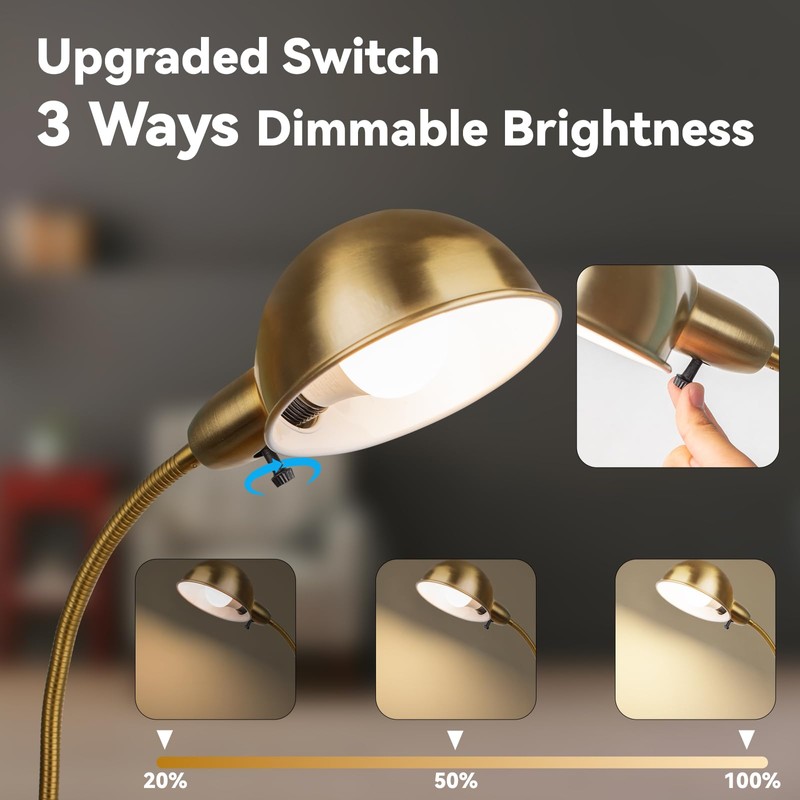 LALISU Dimmable Floor Lamp with Flexible Gooseneck and Rotatable Shade,