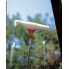 Wolf-Garten EWM Multi-Change Window Washer
