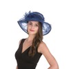 Haojing Kentucky Derby Hat Fascinator Party Church Hat for Women