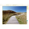 CALVENDO Puzzle Way to the Sea / Spiekeroog 1000 Pieces