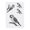 4 x 'Parrot Sitting on Branch' Temporary Tattoos - Water