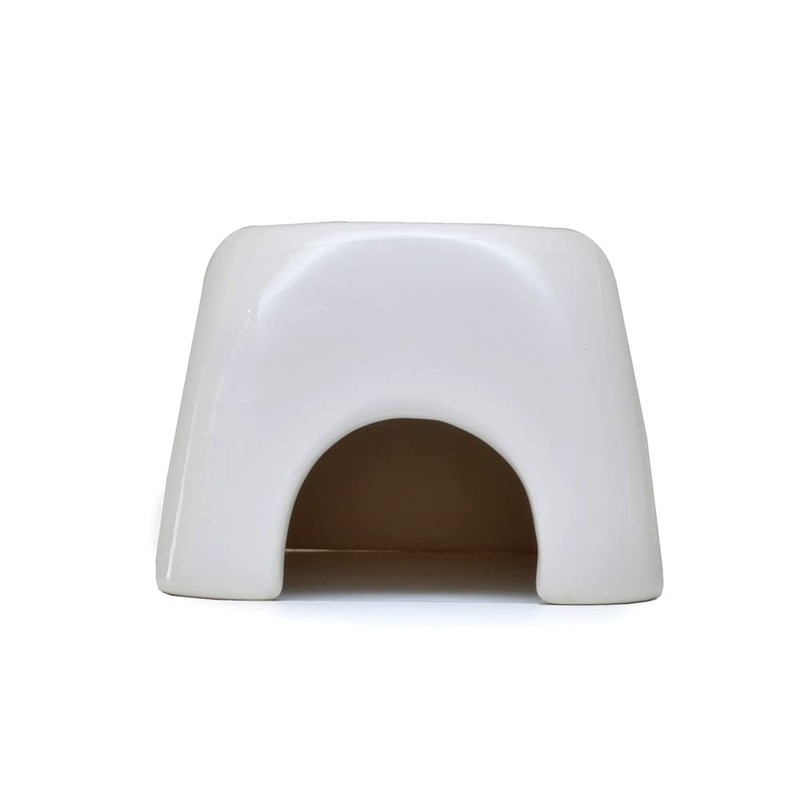 Zensui Corne Snow M Size