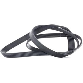 Contitech 6PK1564V-Ribbed Belt