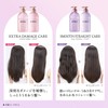 Julem Layered Hair Treatment (Extra Damage Care), Prevents Damage