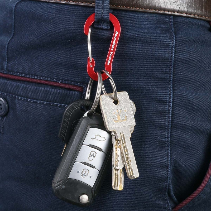 Boundless Voyage Carabiner with Storage Bag (Gray, Set of 20)