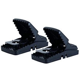 Tomcat Rat Snap Trap - Mechanical Rat Trap (2 Pack)