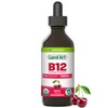 Certified Organic Vitamin B12 5000mcg Drops, Methylcobalamin, 50 Servings –