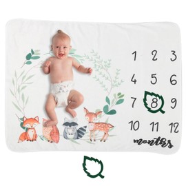 Baby Monthly Milestone Blanket, Baby Photo Blanket, Newborn Baby Shower Flannel Fleece Boy&Girl Milestone Blanket, Capture Baby Growth and milestones (Style B)