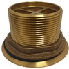 Encore E16-4060 Brass Sink Drain 2" L, 2-1/2" Dia. Sink
