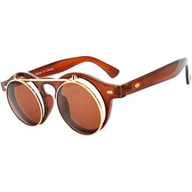 Steampunk Gothic Vintage Hippie Colored Metal Round Circle Frame Sunglasses Colored Lens OWL (FlipUP_C6_Brown, PC Lens)