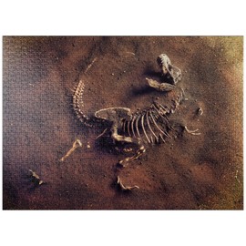 MyPuzzle Dinosaur Fossil from Archaeologists - Premium 1000 Piece Jigsaw Puzzle for Adults