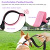 Hands Free Dog Leash with Adjustable Waist Belt, Double Waist