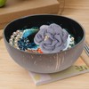 Cabilock Natural Coconut Bowl Shell Bowls Key Bowl for Entryway