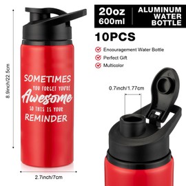 10 Pcs Thank You Appreciation Gifts Aluminum Water Bottles Bulk Water Bottle with Snap Lids Lightweight Leak Proof Sports Water Bottle Travel Bottles for Gym Camping Hiking (Multicolor, 20 Oz)