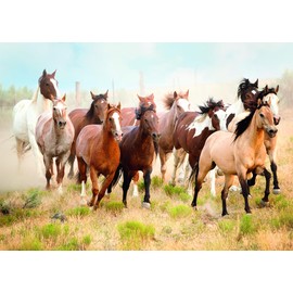 Ravensburger 12000919 Nathan Puzzle for Adults