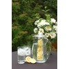 Prodyne Fruit Infusion Flavor Pitcher, Clear, 93 oz.
