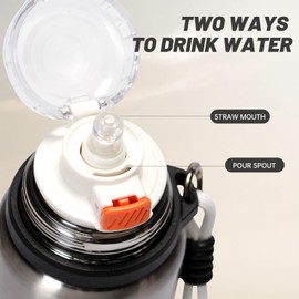 pluseight Stainless Steel Drinking Bottle, 600 ml, Leak-Proof Stainless Steel Bottle with Straw and Lid for School, Children, Women, Men, Leak-proof and Sweatproof with Anti-Dust Lid (Silver)