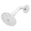 Lion Tools 3263 Regadera Con Brazo Y Chapetón Zinc 3263 Color Plateado