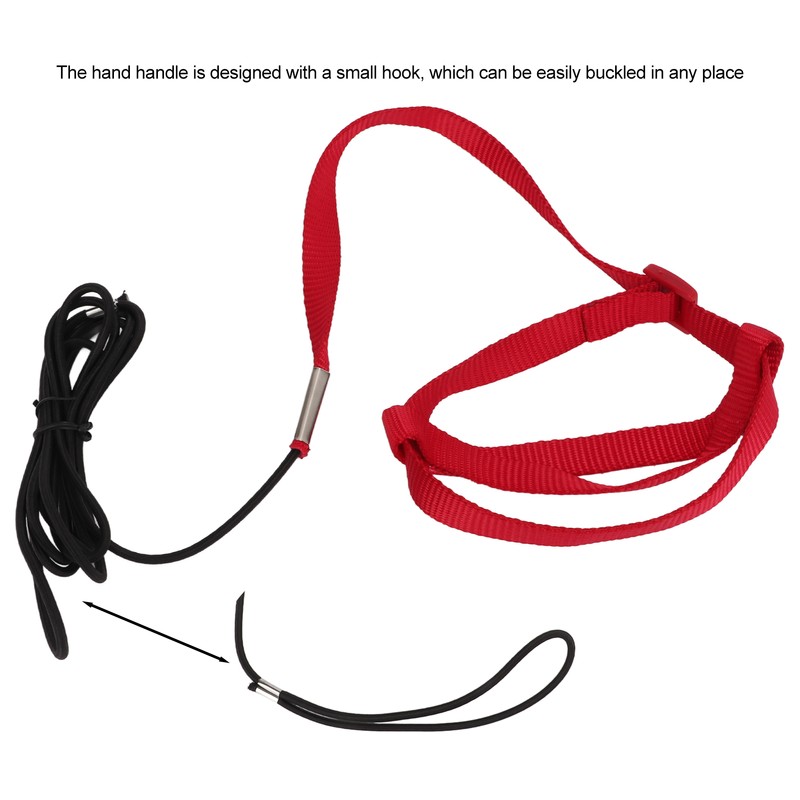 Bird Leash Bite Resistant Adjustable Parrot Flying Training Rope for