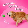Hartz DuraPlay Bacon Scented Dog Toys, Large 1 Count, Colors