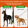 BeauGo| Slip Leads for Dogs | Dog Training Leash |