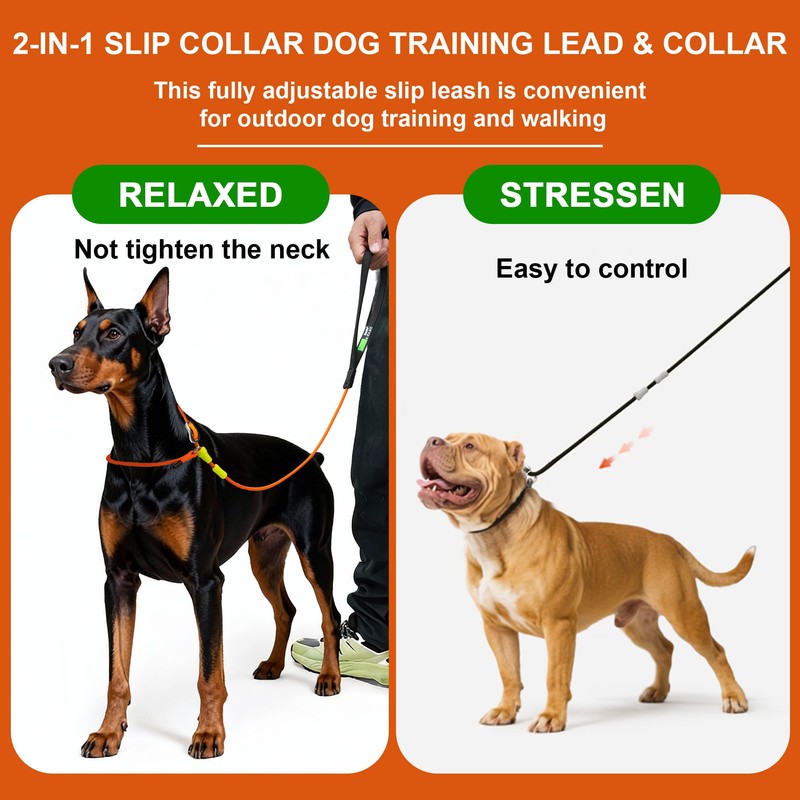 BeauGo| Slip Leads for Dogs | Dog Training Leash |
