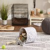 Bone Dry Pet Paw Print Collapsible Pet Storage Container Round