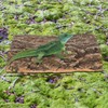 Angoily Cork Bark for Reptiles, Natural Bark for Bearded Lizard