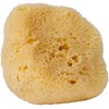 Esponja natural del mar – Croll & Denecke
